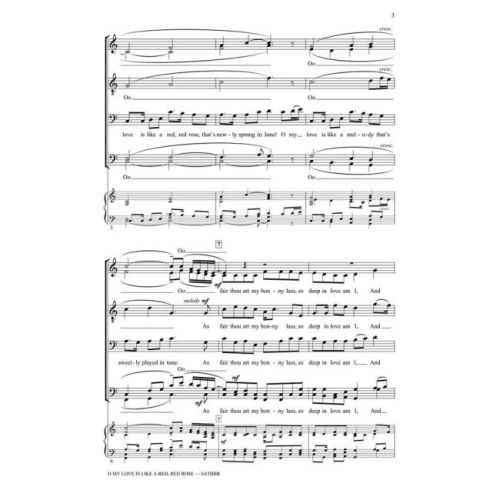  Sample Page 2