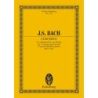 Bach, Johann Sebastian - Concerto A minor BWV 1065