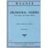 Wagner, Richard - Orchestral Excerpts 