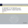 Bruhns & Brunckhorst - Complete Organ Works Vol. 13