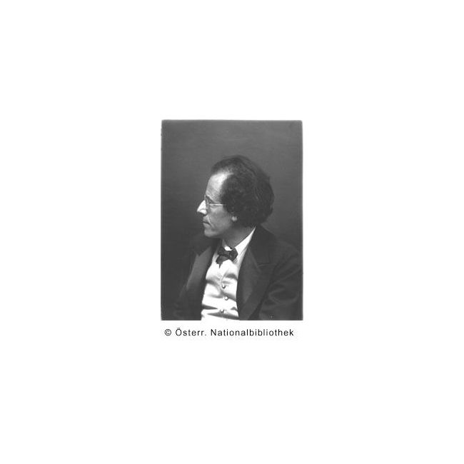Diverse & Mahler - Songs after Friedrich Rückert 