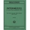 Bruckner, Anton - Intermezzo in D minor opus posthumous (1879) 