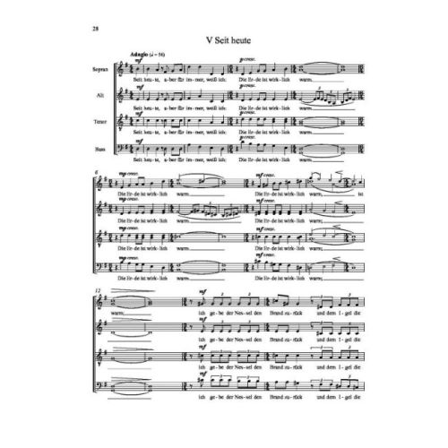 Naske, Elisabeth - Atemleise 
