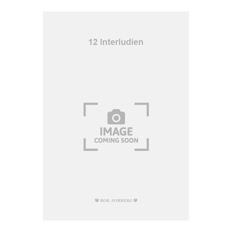 Fried, Walter - 12 Interludien