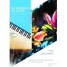 Traditional - Harmonies of Hope