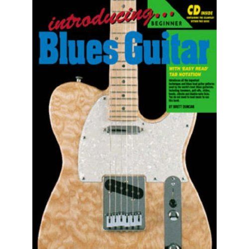 Introducing Blues Guitar