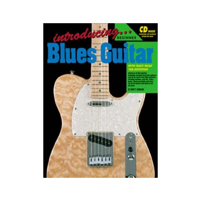 Introducing Blues Guitar