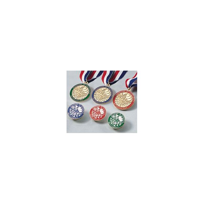 Standard of Excellence Book 3 Award Medal