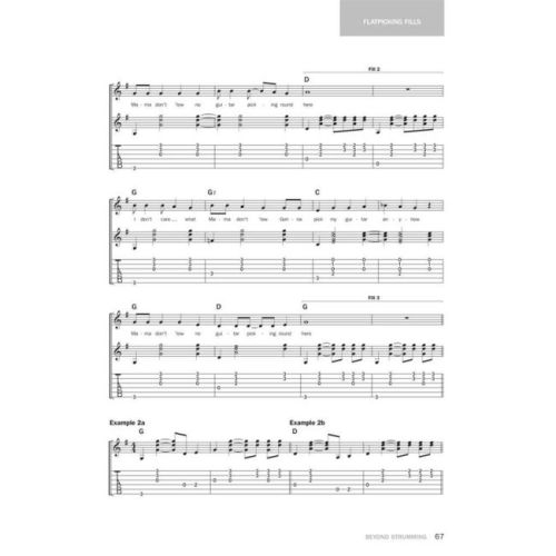 Rodgers, Jeffrey Pepper - Beyond Strumming