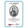 Mertz, Johann Kaspar - 6 Schubert Songs 7