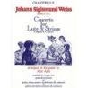 Weiss, Johann Sigismund - Concerto in D minor