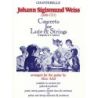 Weiss, Johann Sigismund - Concerto for Lute & Strings