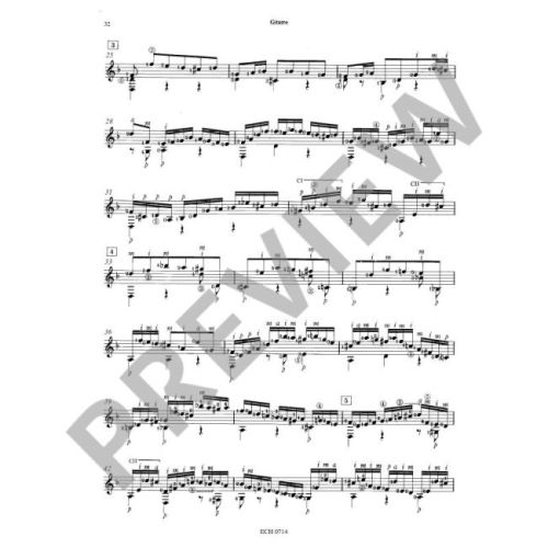 Bach & Carlevaro - Chaconne BWV 1004