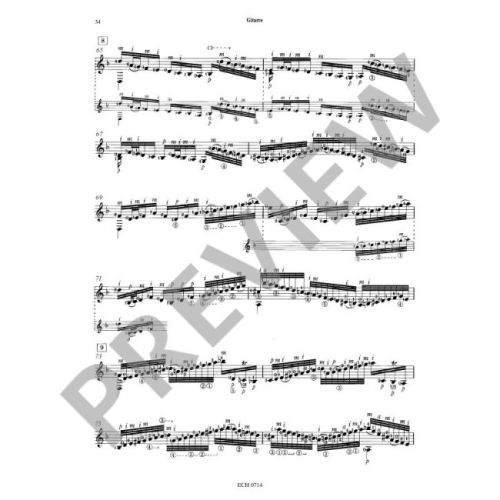 Bach & Carlevaro - Chaconne BWV 1004
