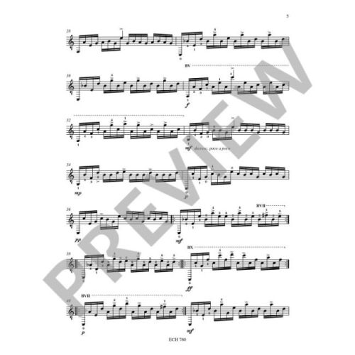 Kavanagh, Dale - 2 Concert Etudes