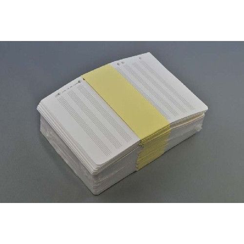 Loose Leaf Sheets 10 staves
