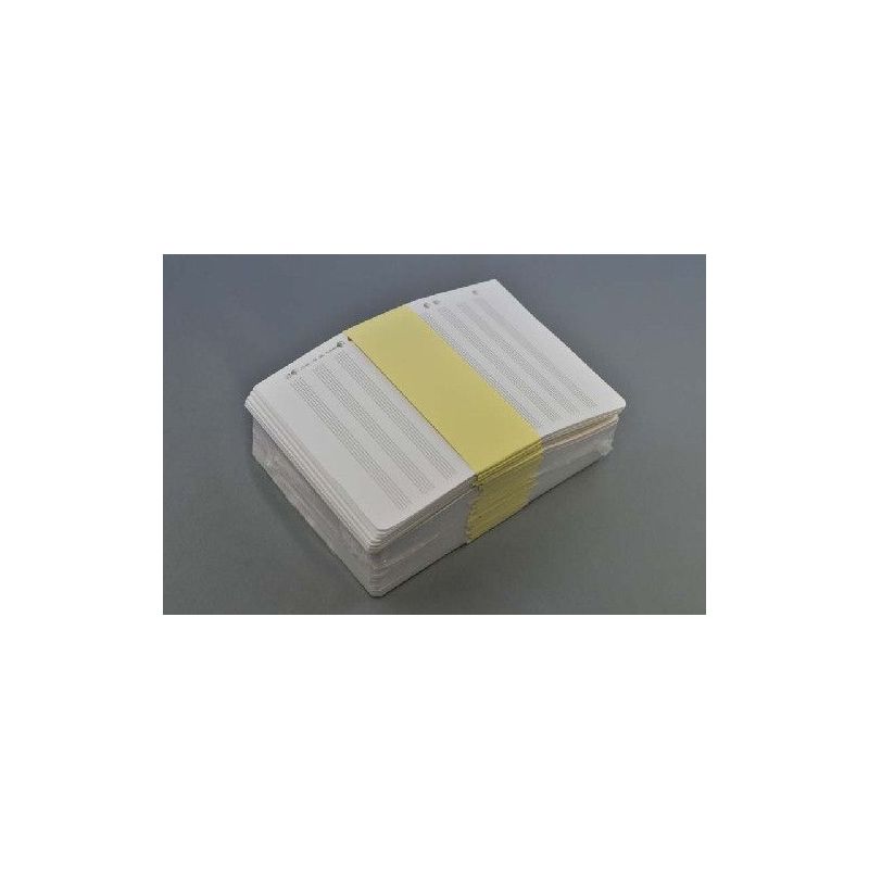 Loose Leaf Sheets 10 staves