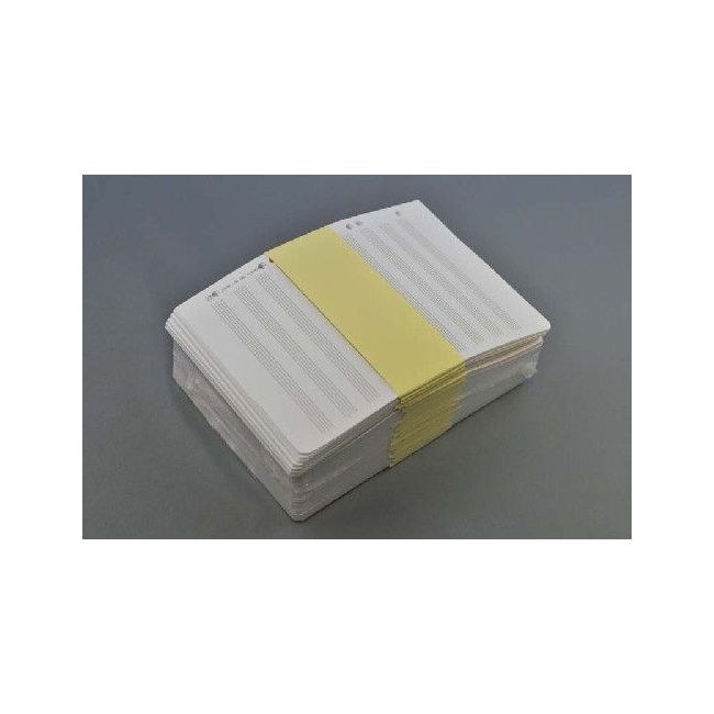 Loose Leaf Sheets 10 staves