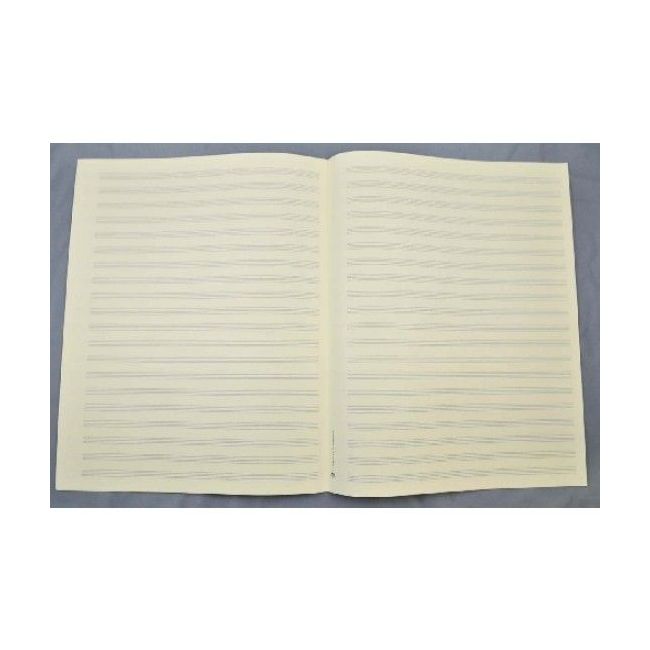 Music manuscript paper 20 staves