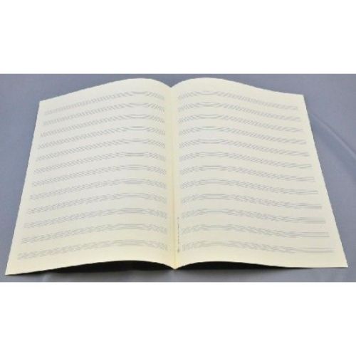 Music manuscript paper 12...