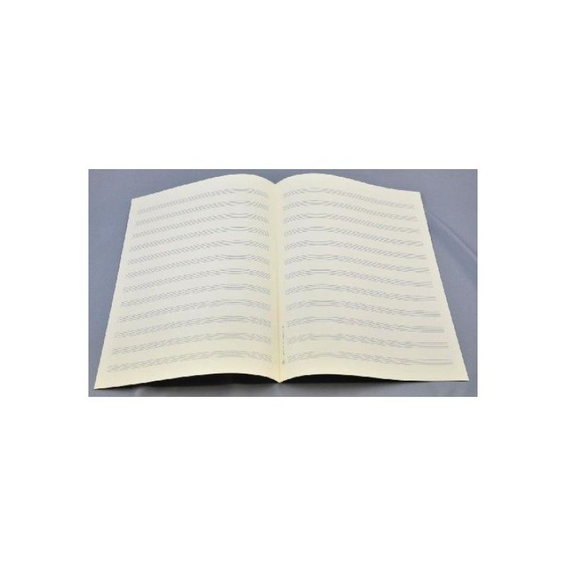 Music manuscript paper 12 staves