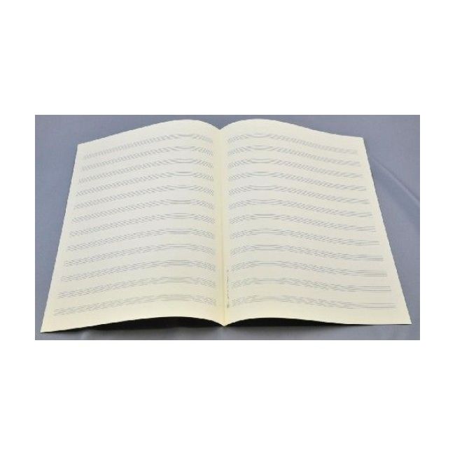Music manuscript paper 12 staves