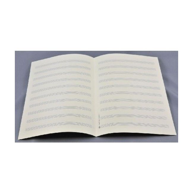 Music manuscript paper 10 staves