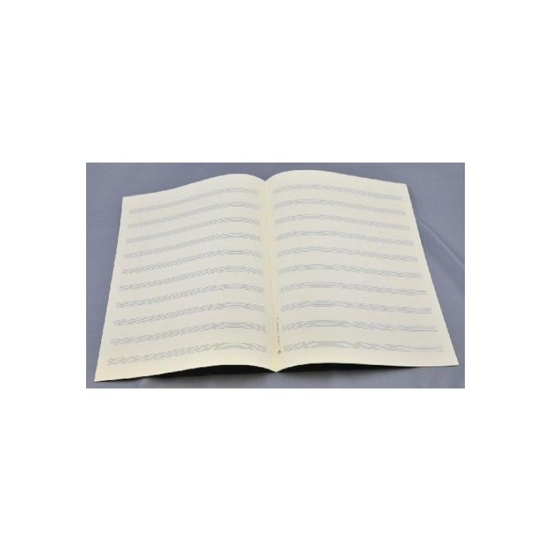 Music manuscript paper 10 staves