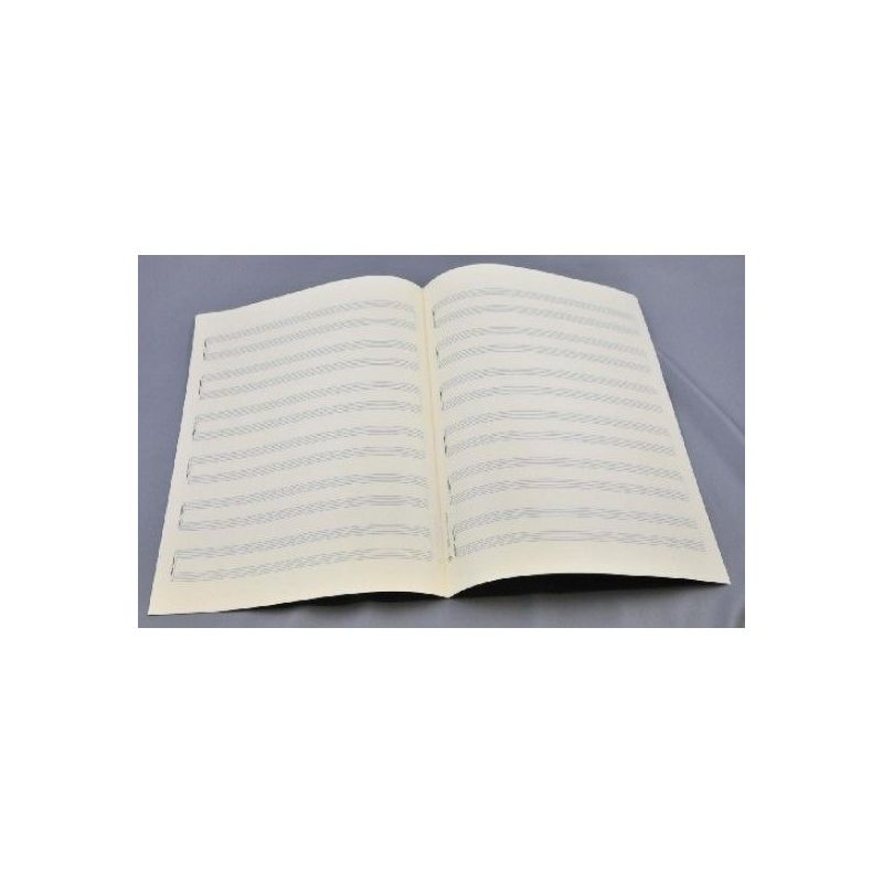 Music manuscript paper 6x2 staves