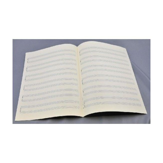 Music manuscript paper 6x2 staves