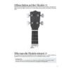 Carter, Terry - Do-It-Yourself Ukulele