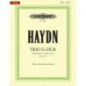Haydn, Franz Joseph - Piano Trio In G Hob.XV/25