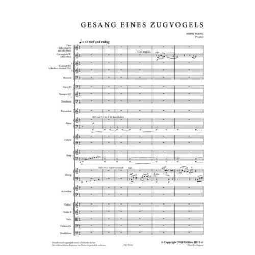 Wang, Ming - Gesang eines Zugvogels