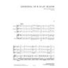 Wolff, Christian Michael - Sinfonia in B flat major