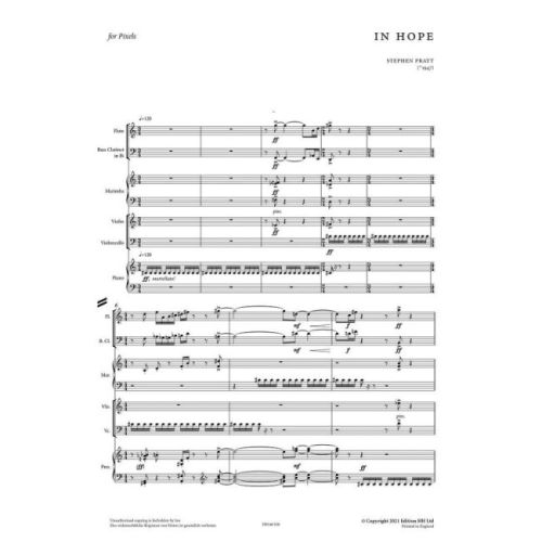 Pratt, Stephen - In Hope