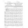 Bloch József - School Of Double Stops - A kezd_ foktól a legmagasabb kiképzésig