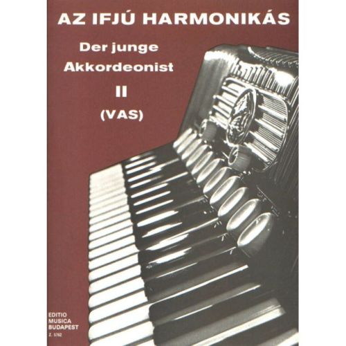 The Young Accordionist