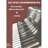 The Young Accordionist
