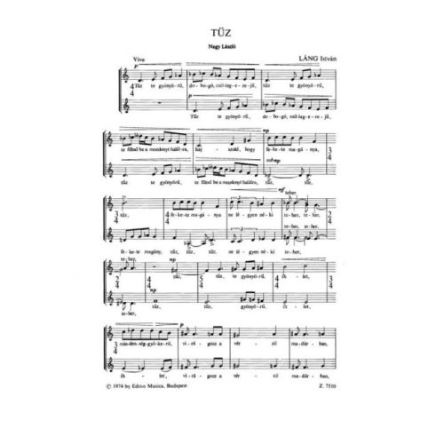 Láng István - T_z