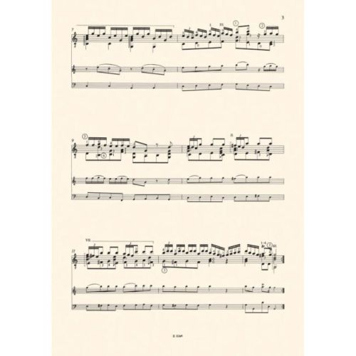 Vivaldi, Antonio - Trio In Do Maggiore - per liuto (chitarra), violino e violoncello, RV 82 (F. XVI. No. 3, P.V. S. 7/3)