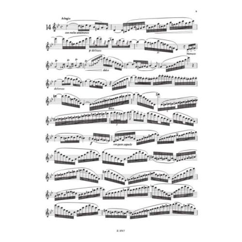 Köhler, Ernesto - Virtuoso Studies For Flute