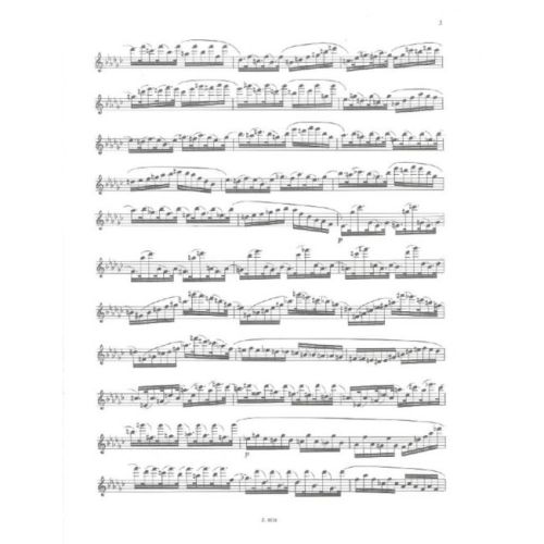 Köhler, Ernesto - Virtuoso Studies For Flute