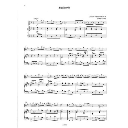 Flute Music For Beginners