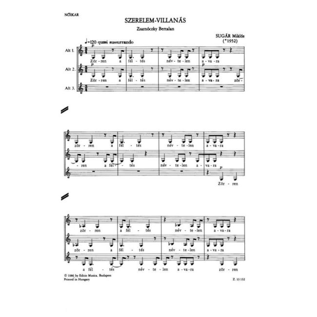Sugár Miklós - Szerelem-villanás