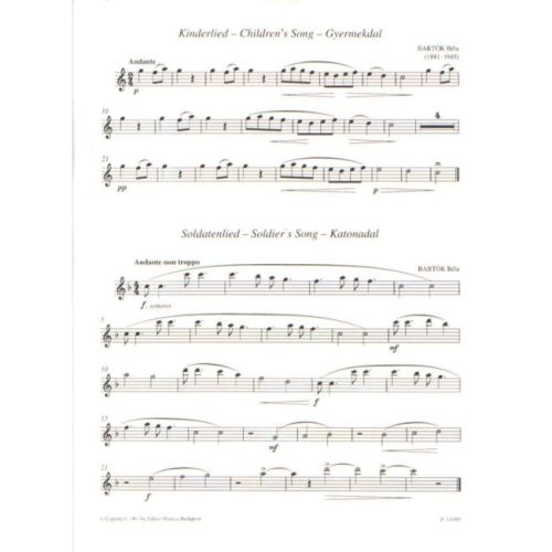 Recorder Music For Beginners, Vol 2 - (for treble recorder with piano accompaniment)