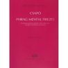 Csapó Gyula - Phrag Mental Friezes - for clarinet (and bass clarinet), violin, cello, piano and three woodblocks (one player)