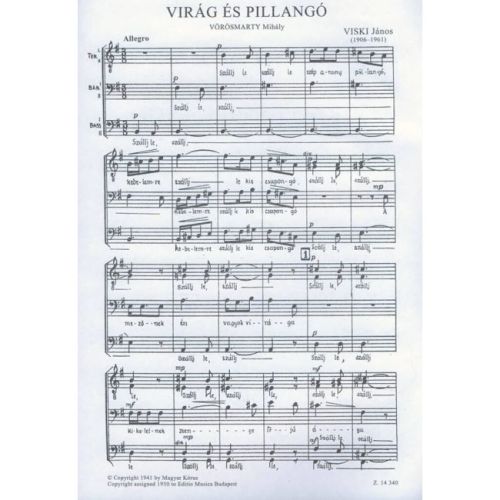 Viski János - Virág És Pillangó