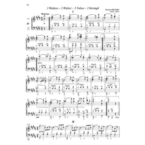 Accordion Music For Beginners