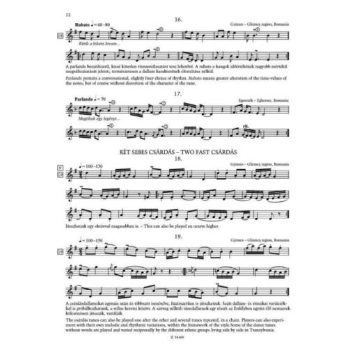 Túl A Vizen. Folk Music For Shepherds Flute - Hungarian and Romanian tunes arranged for recorder, flute, clarinet, oboe, tarogat