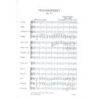 Brahms, Johannes - Violin Concerto In D Major
